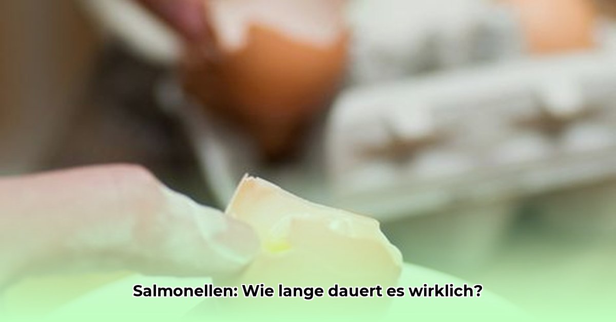 salmonellen-infektion-dauer